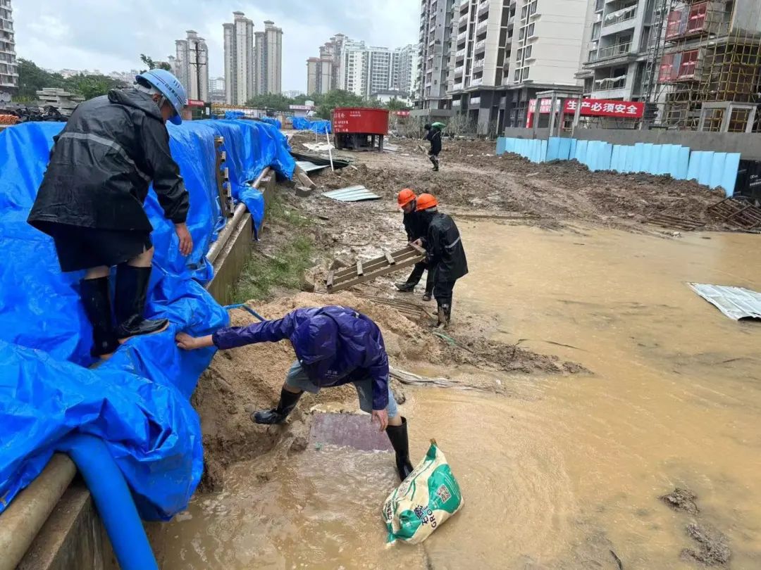 疾风骤雨砺初心 抗台一线勇担当