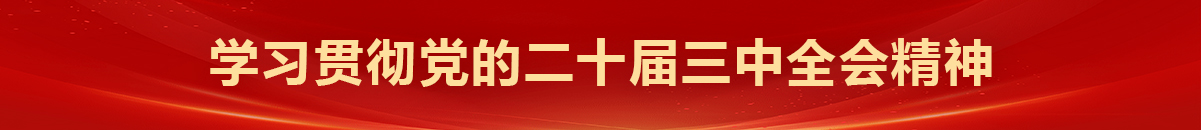 学习贯彻党的二十届三中全会精神